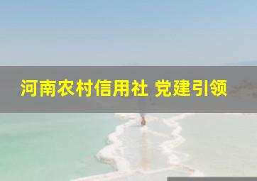 河南农村信用社 党建引领